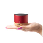 Altavoz inalámbrico fabricado en aluminio | VOXEL (BS1061)