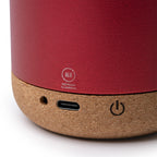 Altavoz inalámbrico fabricado en aluminio | VOXEL (BS1061)