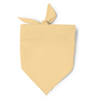 Pañoleta de forma triangular en combinación de | JARANA (PN1734)