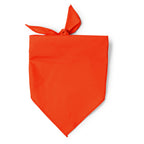 Pañoleta de forma triangular en combinación de | JARANA (PN1734)