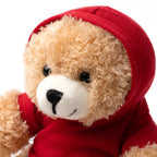 Osito de peluche con sudadera lisa realizada en | JAZZ (FT1853)