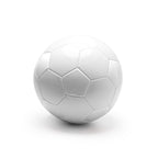 Balón de fútbol de tamaño 5 | TUCHEL (FB2151)