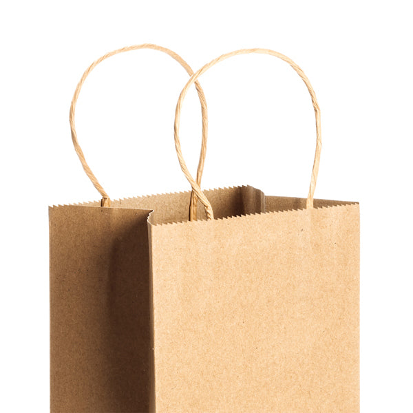 Bolsa de papel de 100 g/m² en acabado natural | PINUS (BO7123)