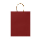 Bolsa de papel en acabado natural 110 g/m² | ROBLE (BO7540)