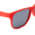 Gafas de sol con cómoda montura de diseño clásico | ARIEL (SG8103)