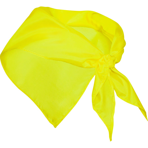 Pañoleta de tejido fino de forma triangular usada | FESTERO (PN9003)